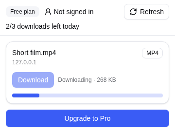 The popup downloading an MP4 file, with a progress bar and the amount downloaded.