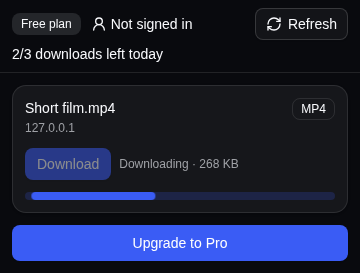 The popup downloading an MP4 file, with a progress bar and the amount downloaded.